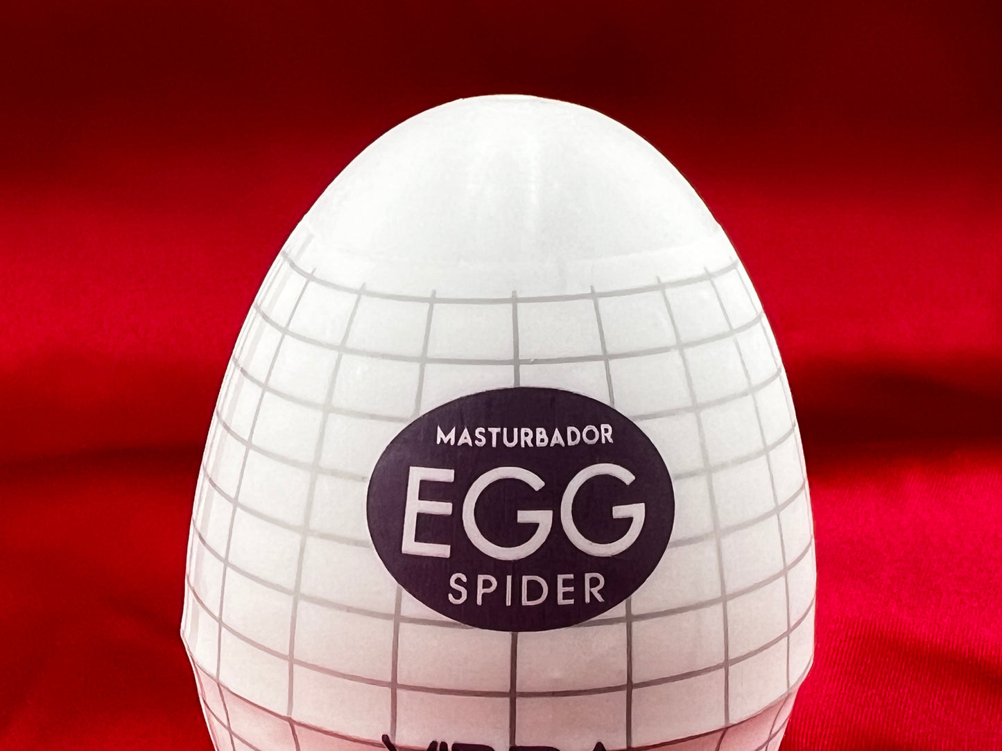 Textured Masturbation Egg (Purple) | Red Room Fantasies